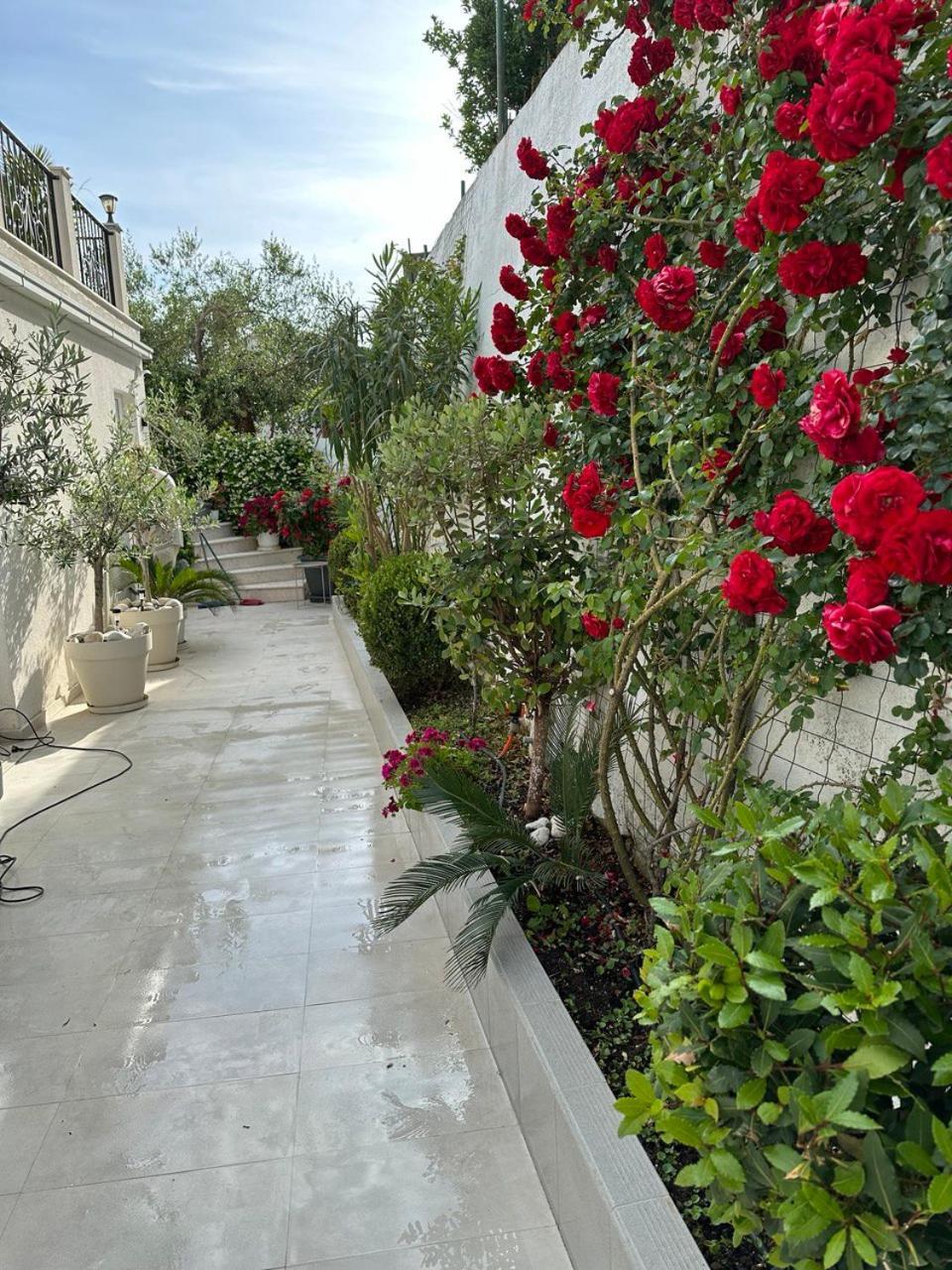 Villabijela21 Ulcinj Exterior foto